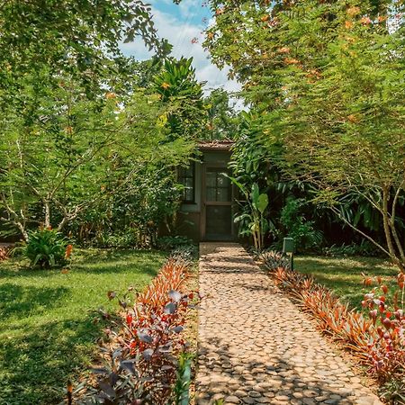 Sweet Songs Jungle Lodge San Ignacio Bagian luar foto