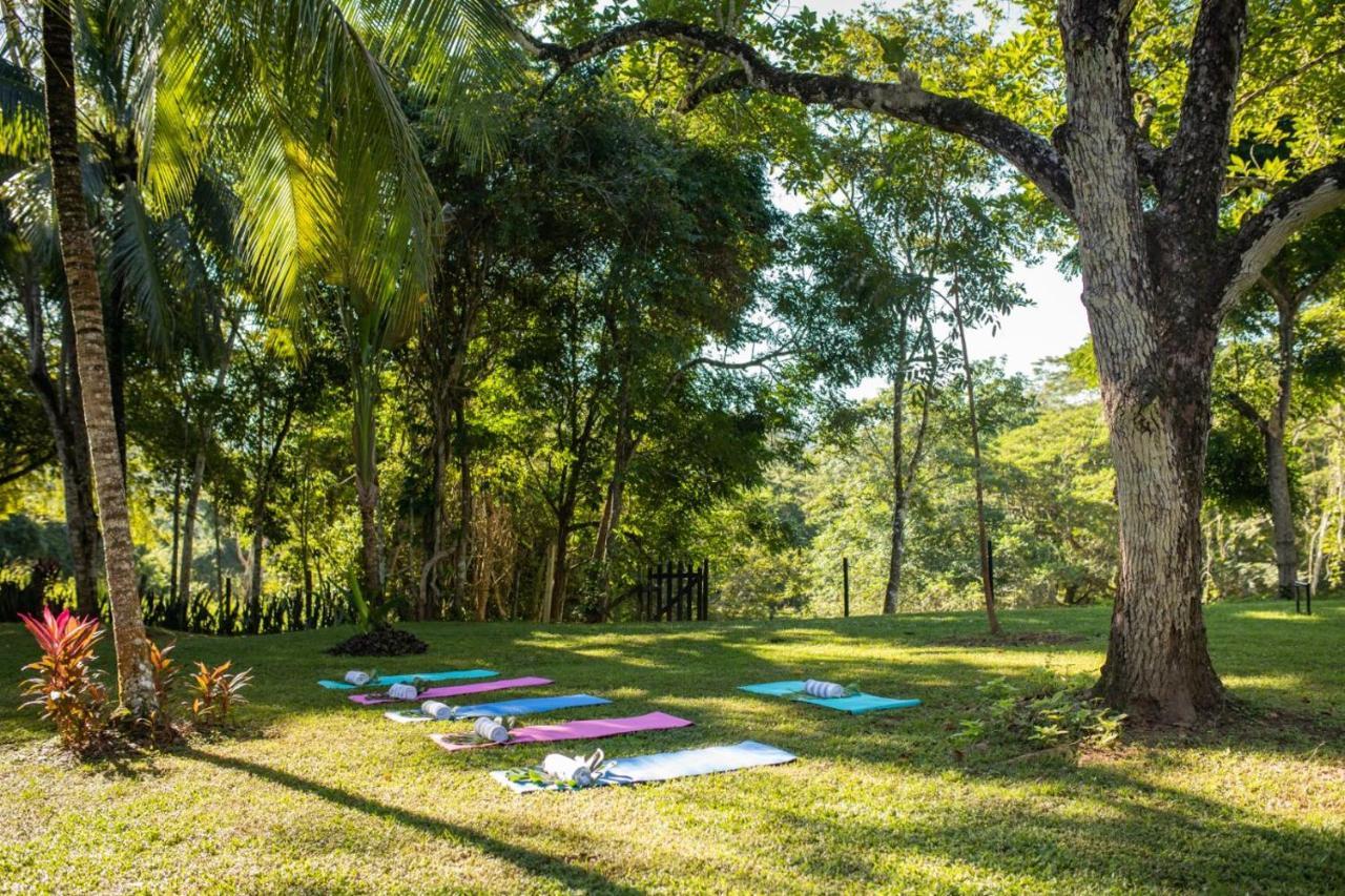 Sweet Songs Jungle Lodge San Ignacio Bagian luar foto