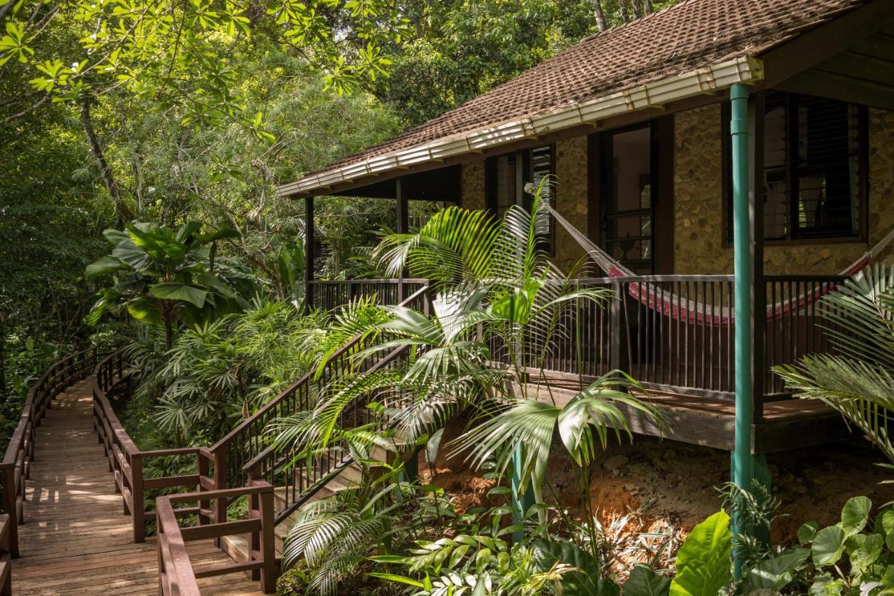 Sweet Songs Jungle Lodge San Ignacio Bagian luar foto