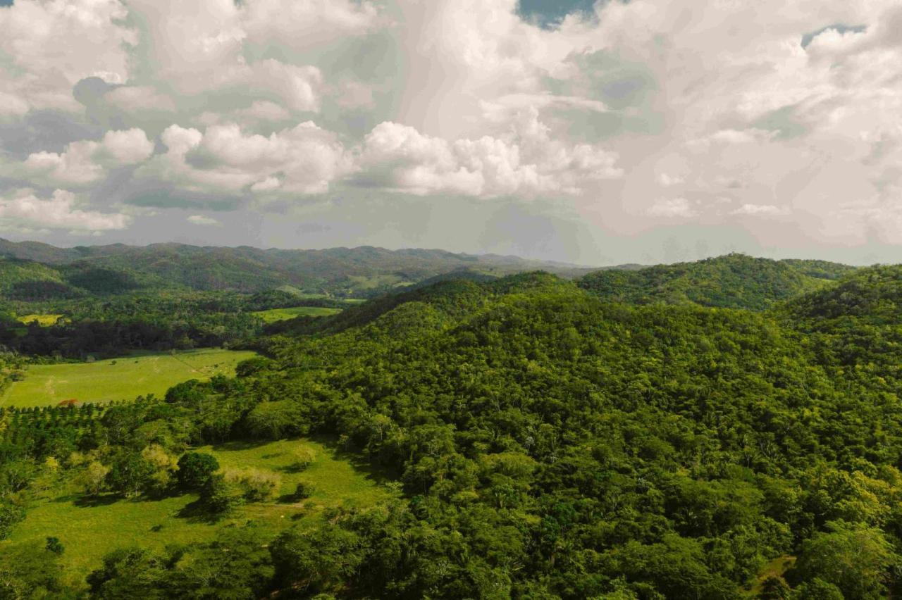 Sweet Songs Jungle Lodge San Ignacio Bagian luar foto