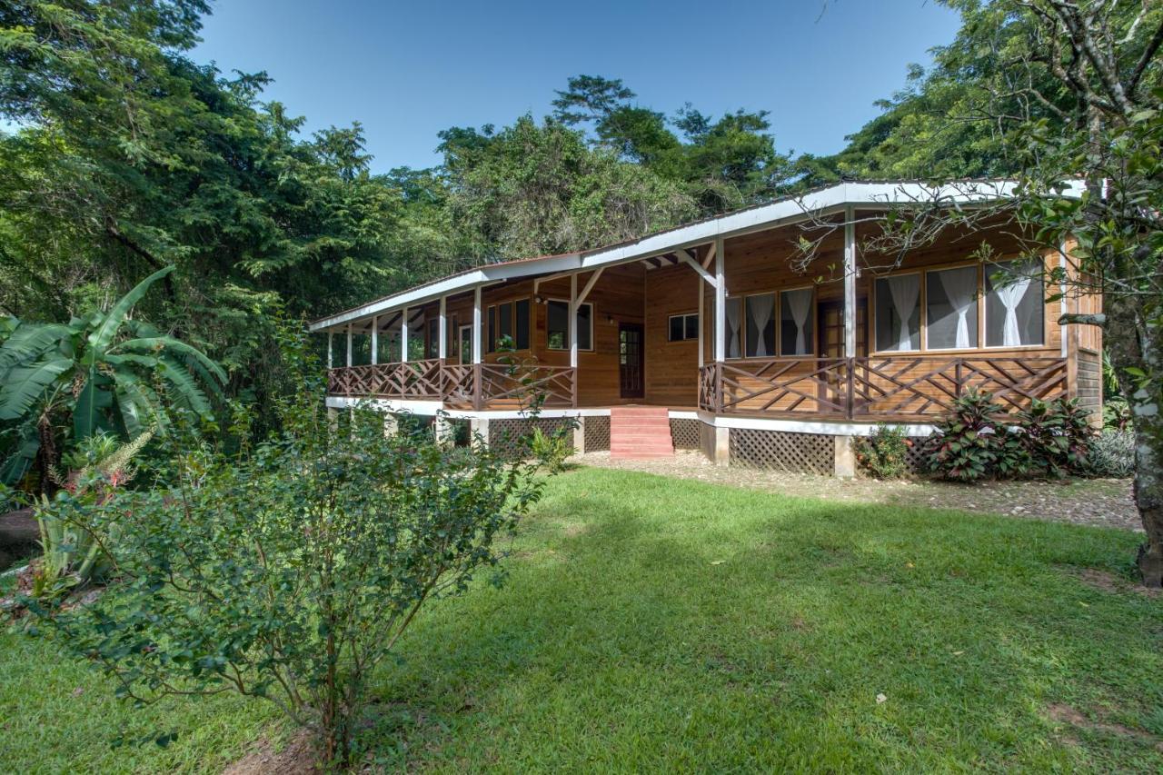 Sweet Songs Jungle Lodge San Ignacio Bagian luar foto