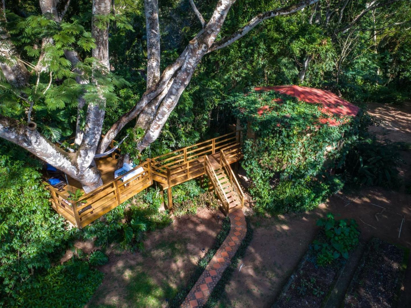 Sweet Songs Jungle Lodge San Ignacio Bagian luar foto