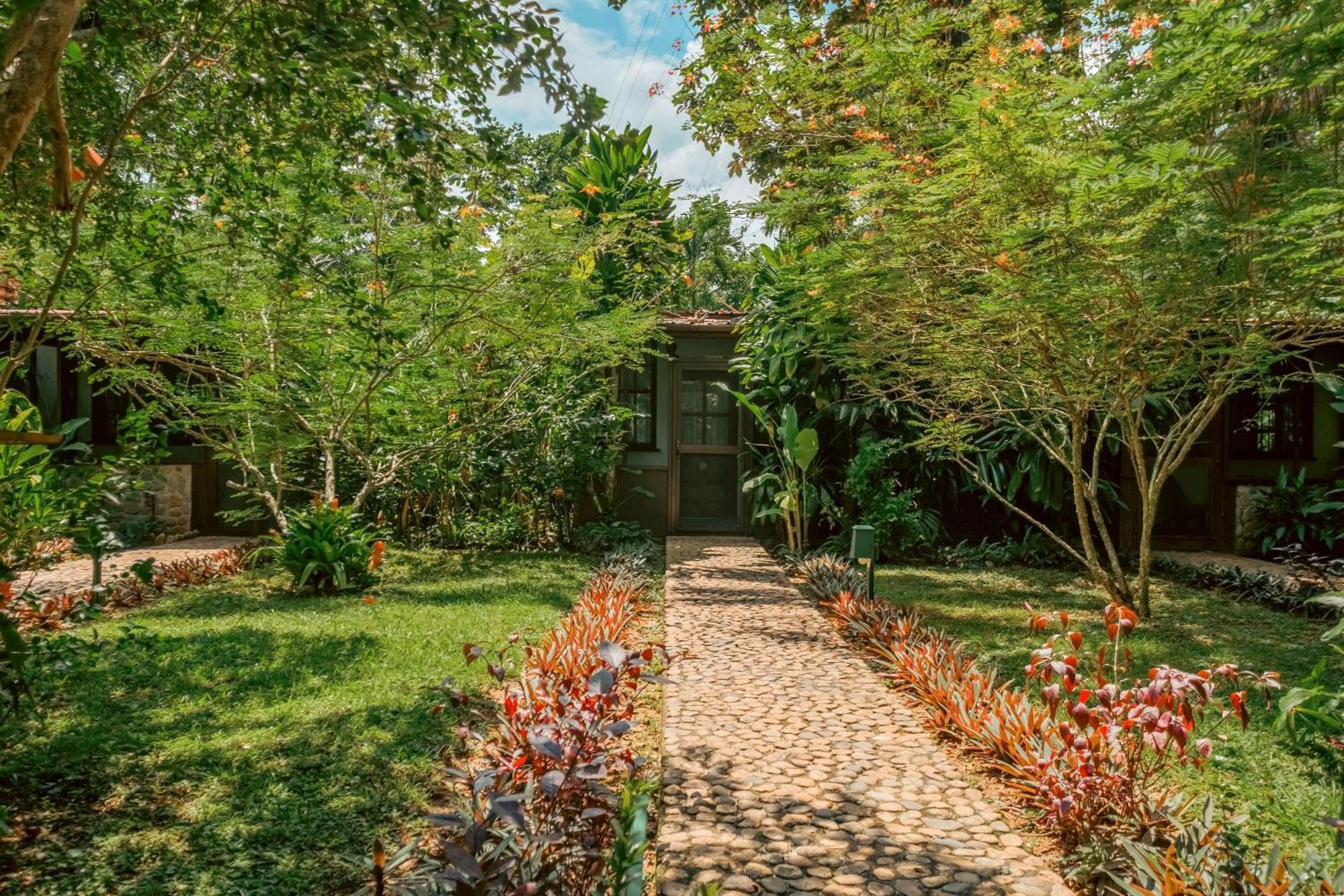 Sweet Songs Jungle Lodge San Ignacio Bagian luar foto