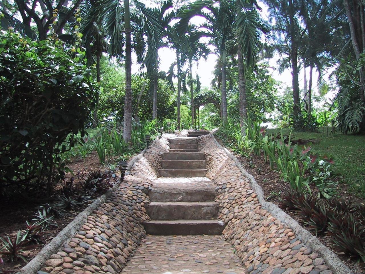 Sweet Songs Jungle Lodge San Ignacio Bagian luar foto