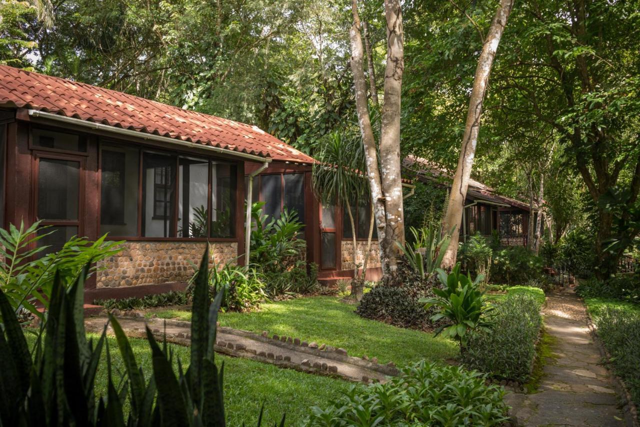 Sweet Songs Jungle Lodge San Ignacio Bagian luar foto