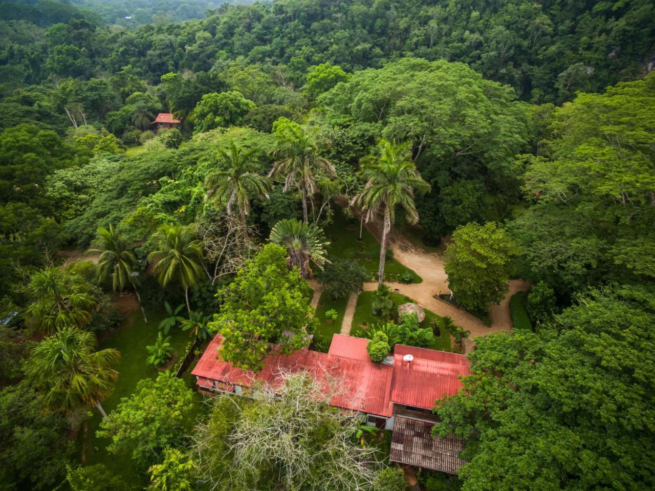 Sweet Songs Jungle Lodge San Ignacio Bagian luar foto