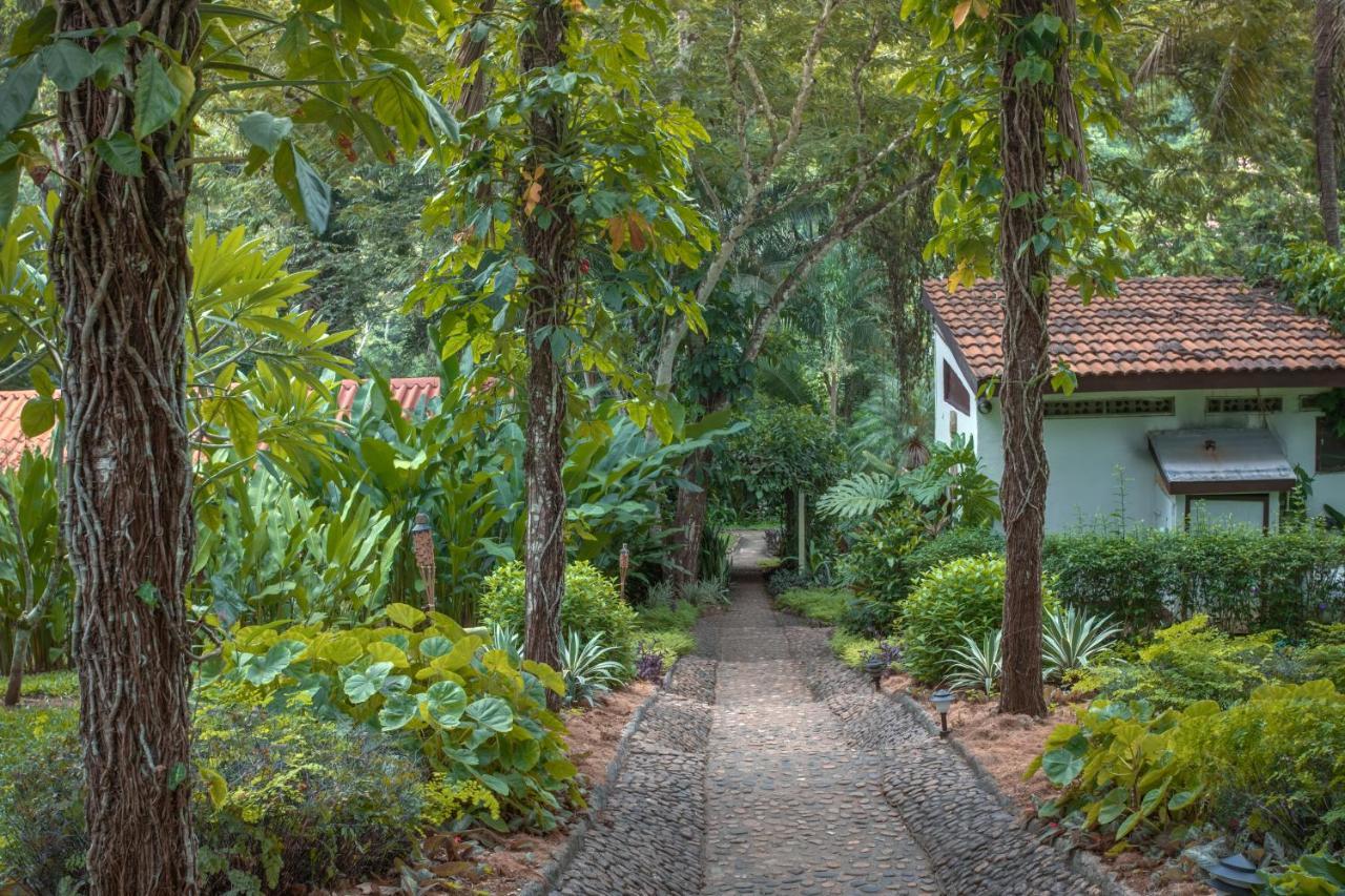 Sweet Songs Jungle Lodge San Ignacio Bagian luar foto