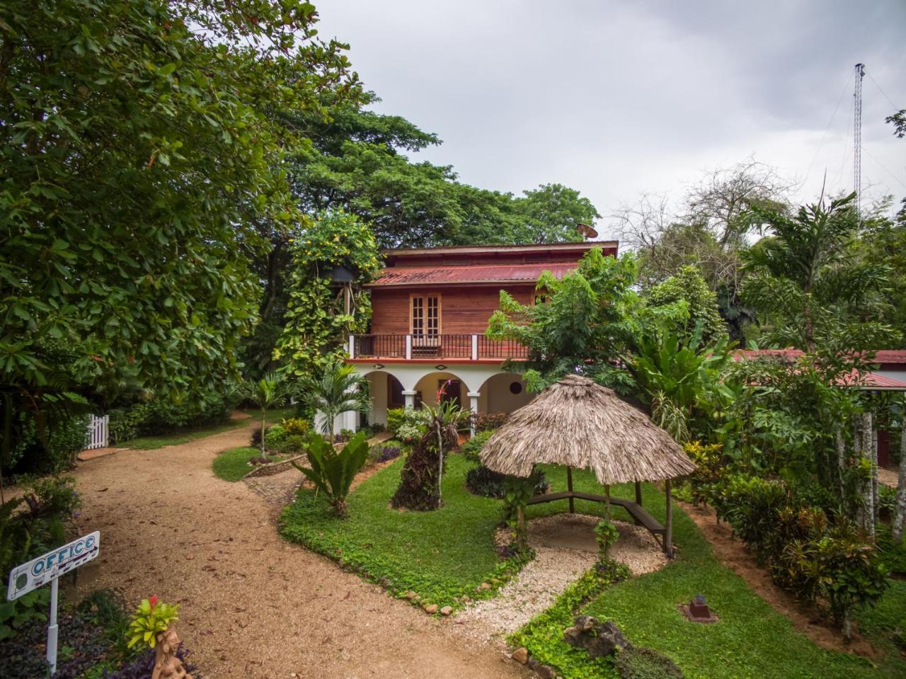 Sweet Songs Jungle Lodge San Ignacio Bagian luar foto