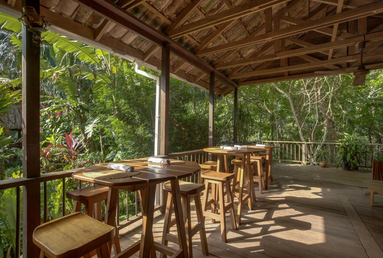 Sweet Songs Jungle Lodge San Ignacio Bagian luar foto