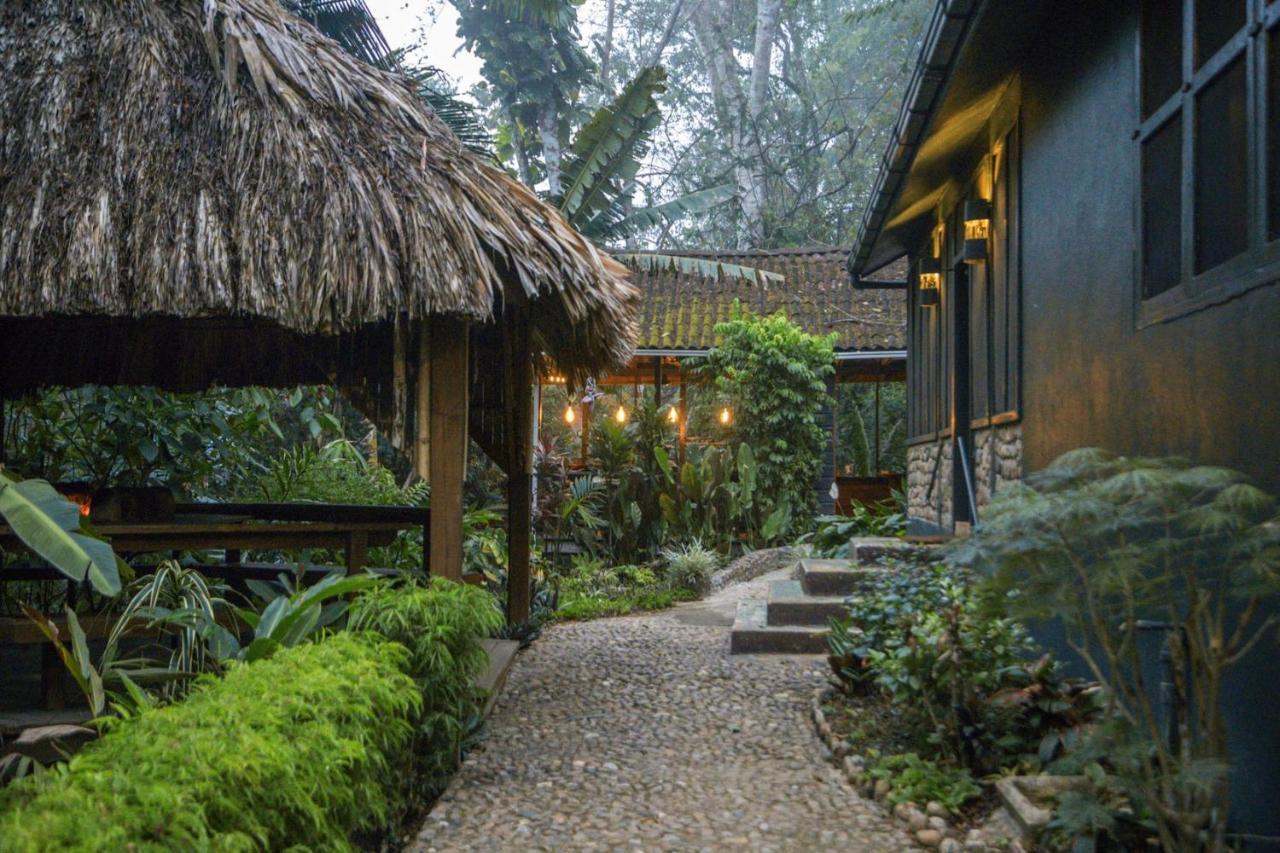 Sweet Songs Jungle Lodge San Ignacio Bagian luar foto