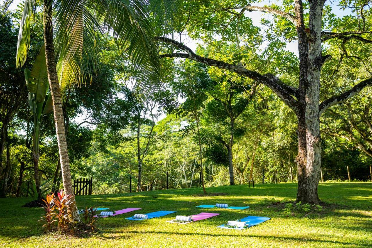 Sweet Songs Jungle Lodge San Ignacio Bagian luar foto